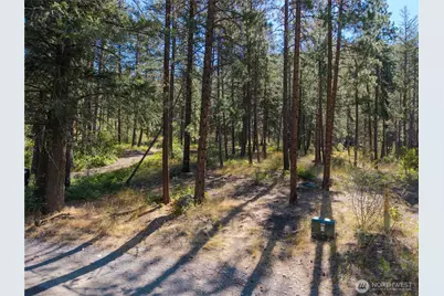 16 Highland Meadow Road, Winthrop, WA 98862 - Photo 7