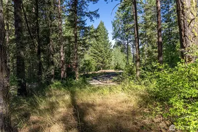 16 Highland Meadow Road, Winthrop, WA 98862 - Photo 23