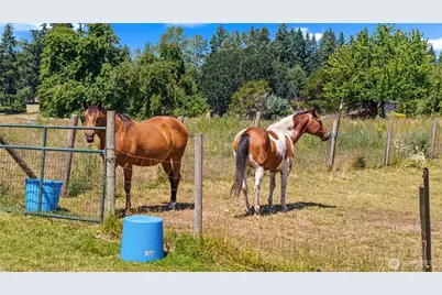 12717 Zeller Road SE, Yelm, WA 98597 - Photo 39