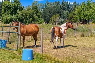 12717 Zeller Rd SE, Yelm, WA 98597 - Photo 39