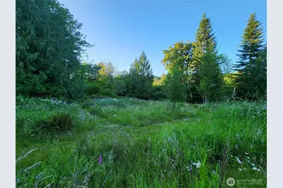 234 Markum Lane, Winlock, WA 98596 - Photo 25