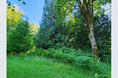 234 Markum Lane, Winlock, WA 98596 - Photo 27
