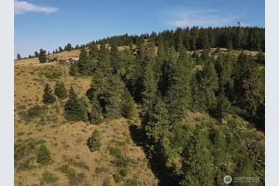 790 Fs Rd 3506, Ellensburg, WA 98926 - Photo 33