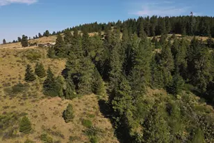 790 Fs Rd 3506, Ellensburg, WA 98926 - Photo 33