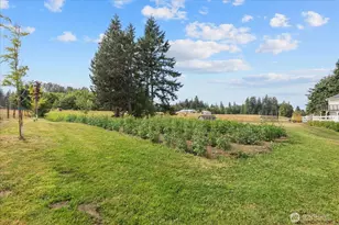 21520 50th Ave NW, Stanwood, WA 98292 - Photo 27