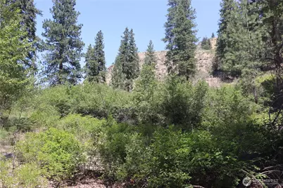613 East Chewuch Road, Winthrop, WA 98862 - Photo 9