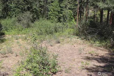 613 East Chewuch Road, Winthrop, WA 98862 - Photo 21