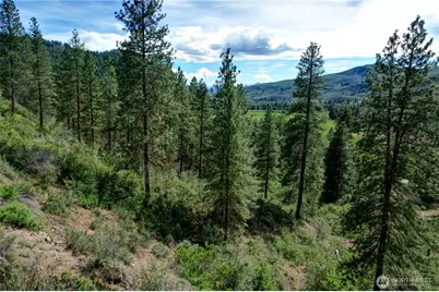 613 East Chewuch Road, Winthrop, WA 98862 - Photo 3