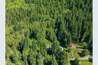 33217 Mount Tahoma Canyon Road E, Ashford, WA 98304 - Photo 39
