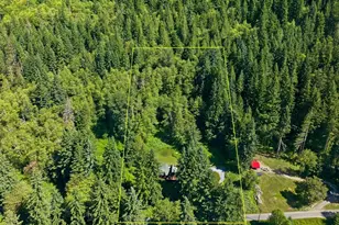33217 Mt Tahoma Canyon Rd E, Ashford, WA 98304 - Photo 39