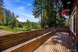 33217 Mt Tahoma Canyon Rd E, Ashford, WA 98304 - Photo 7