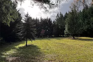 15407 264th St E, Graham, WA 98338 - Photo 19