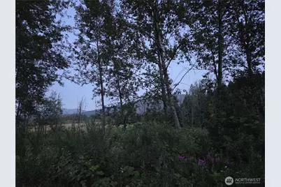 108 Savio Road E, Randle, WA 98377 - Photo 27