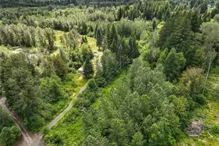 108 Savio Rd E, Randle, WA 98377 - Photo 13