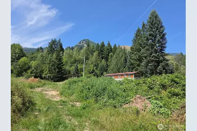 108 Savio Road E, Randle, WA 98377 - Photo 33