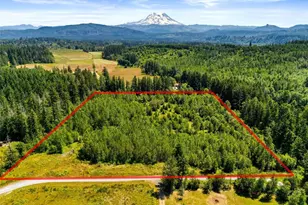 40903 80th Ave E, Eatonville, WA 98328 - Photo 1