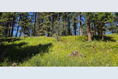 111 Tbd Amanda Rd, Oroville, WA 98270 - Photo 21