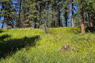 111 Tbd Amanda Rd, Oroville, WA 98270 - Photo 21