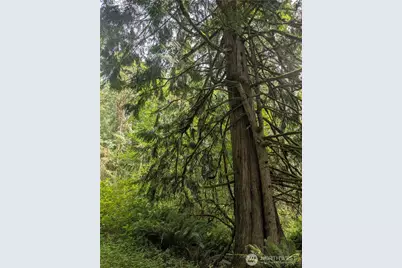 25314 Ebey Mountain Road, Arlington, WA 98223 - Photo 5