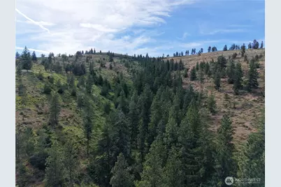 1524 Nasty Creek Road, Yakima, WA 98903 - Photo 7