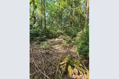 655 E Pointes Drive E, Shelton, WA 98584 - Photo 11