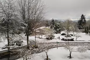 7024 155th Pl Pl NE, Redmond, WA 98052 - Photo 25