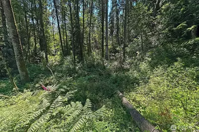 4302 W Tapps Drive E, Lake Tapps, WA 98391 - Photo 13