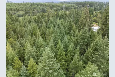 0 E Tepee Lane, Belfair, WA 98528 - Photo 11