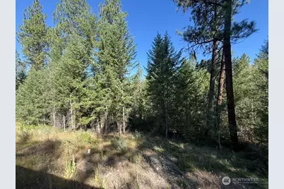 293 Blue Meadow, Tonasket, WA 98855 - Photo 23