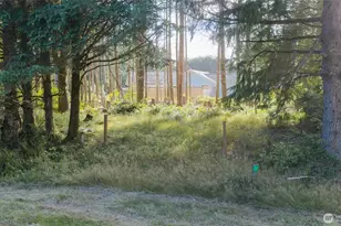 119 Olympic View Ave NE, Ocean Shores, WA 98569 - Photo 1