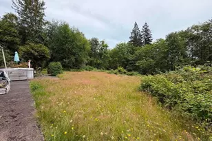 244 N Dubois Rd, Ariel, WA 98603 - Photo 33