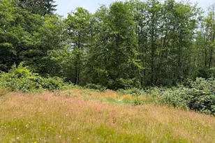 244 N Dubois Rd, Ariel, WA 98603 - Photo 25