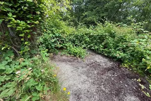 244 N Dubois Rd, Ariel, WA 98603 - Photo 31