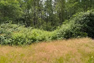 244 N Dubois Rd, Ariel, WA 98603 - Photo 27