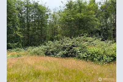 244 N Dubois Road, Ariel, WA 98603 - Photo 23