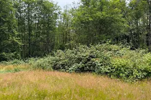 244 N Dubois Rd, Ariel, WA 98603 - Photo 23