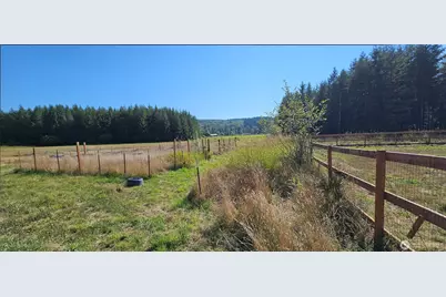 205 Stub Road, Onalaska, WA 98570 - Photo 35