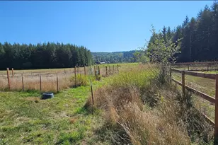 205 Stub Rd, Onalaska, WA 98570 - Photo 35