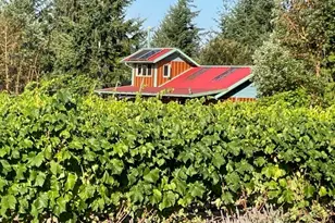 1673 Woodland Dr, Port Townsend, WA 98368 - Photo 3