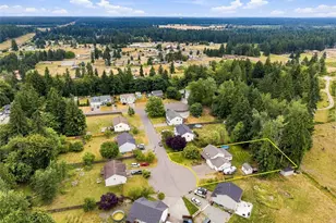 29115 11th Ave E, Roy, WA 98580 - Photo 33