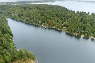 10718 Trout Pl, Anderson Island, WA 98303 - Photo 5