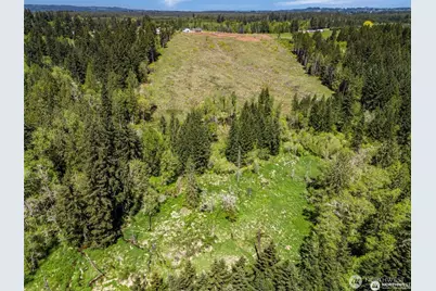 597 Brown Road, Adna, WA 98522 - Photo 15