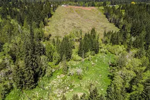 597 Brown Rd, Adna, WA 98522 - Photo 15