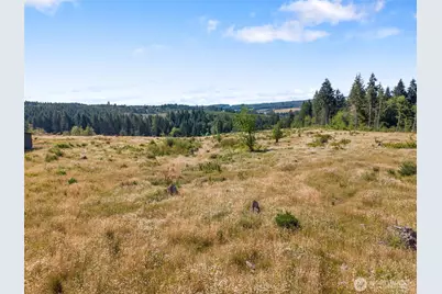597 Brown Road, Adna, WA 98522 - Photo 5
