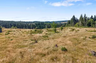597 Brown Rd, Adna, WA 98522 - Photo 5