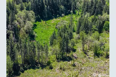 597 Brown Road, Adna, WA 98522 - Photo 13