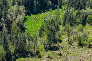 597 Brown Rd, Adna, WA 98522 - Photo 13
