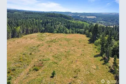 607 Brown Road, Adna, WA 98522 - Photo 5