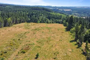 607 Brown Rd, Adna, WA 98522 - Photo 5