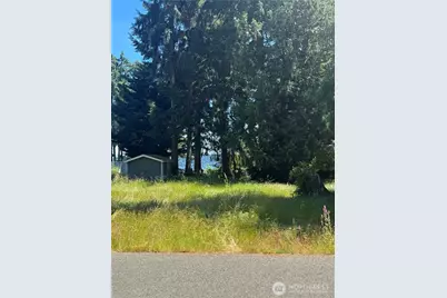 10409 108th Street, Anderson Island, WA 98303 - Photo 1